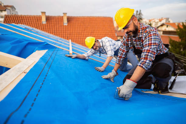 Best Roof Gutter Cleaning  in Cushing, OK